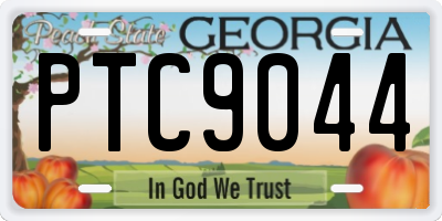 GA license plate PTC9044