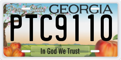 GA license plate PTC9110