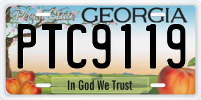 GA license plate PTC9119