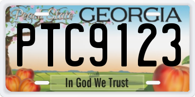 GA license plate PTC9123