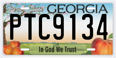 GA license plate PTC9134