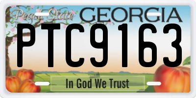 GA license plate PTC9163