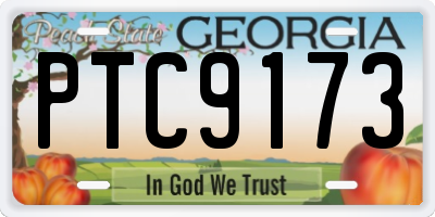 GA license plate PTC9173