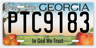 GA license plate PTC9183