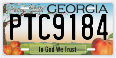 GA license plate PTC9184