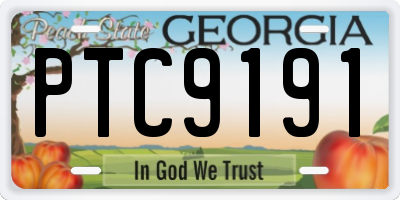 GA license plate PTC9191