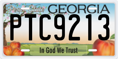 GA license plate PTC9213