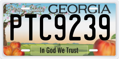 GA license plate PTC9239