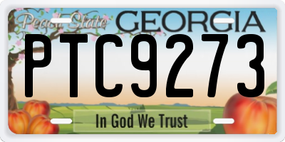 GA license plate PTC9273