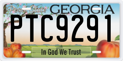 GA license plate PTC9291