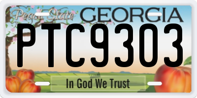 GA license plate PTC9303