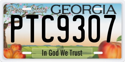 GA license plate PTC9307