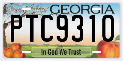 GA license plate PTC9310