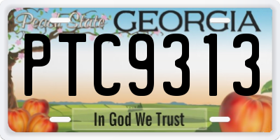 GA license plate PTC9313