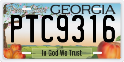 GA license plate PTC9316