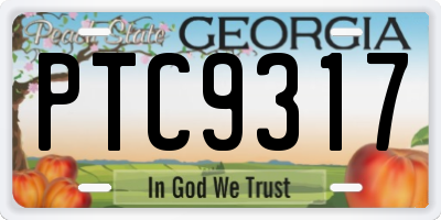 GA license plate PTC9317