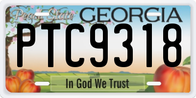 GA license plate PTC9318