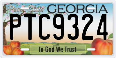 GA license plate PTC9324