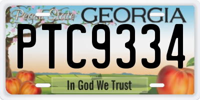 GA license plate PTC9334