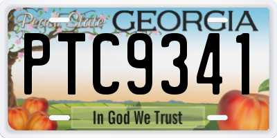 GA license plate PTC9341