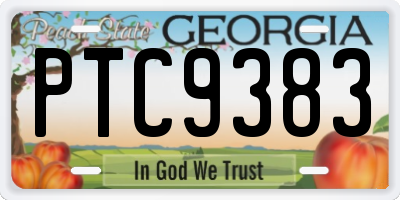 GA license plate PTC9383