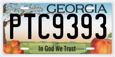 GA license plate PTC9393