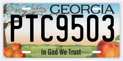 GA license plate PTC9503