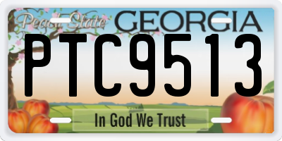 GA license plate PTC9513
