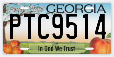 GA license plate PTC9514