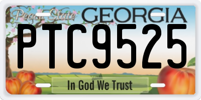 GA license plate PTC9525