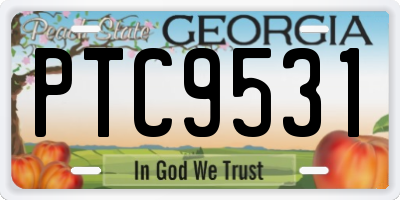 GA license plate PTC9531