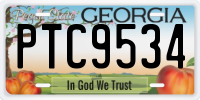 GA license plate PTC9534