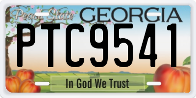 GA license plate PTC9541