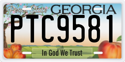 GA license plate PTC9581