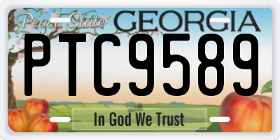 GA license plate PTC9589