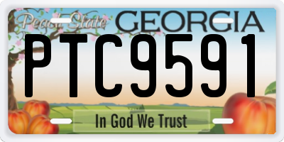 GA license plate PTC9591