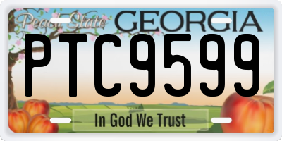 GA license plate PTC9599