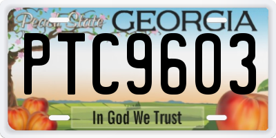 GA license plate PTC9603