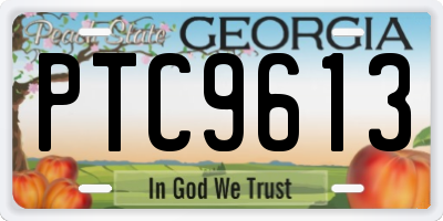 GA license plate PTC9613