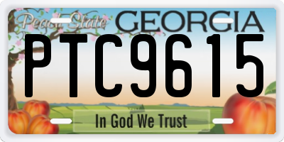 GA license plate PTC9615