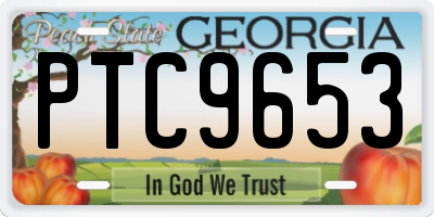 GA license plate PTC9653