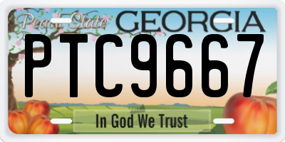 GA license plate PTC9667