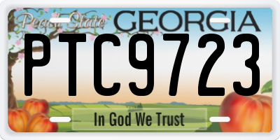GA license plate PTC9723