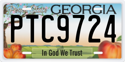GA license plate PTC9724