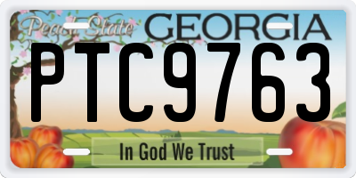 GA license plate PTC9763