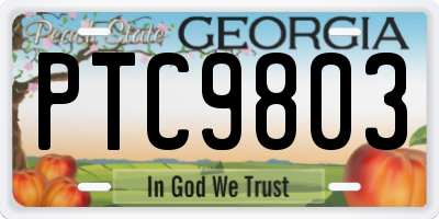 GA license plate PTC9803