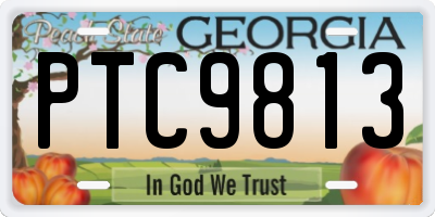GA license plate PTC9813