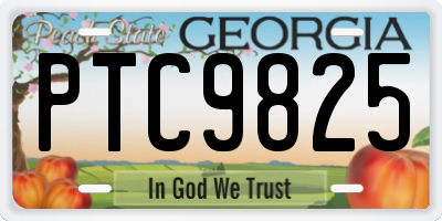 GA license plate PTC9825