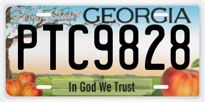 GA license plate PTC9828