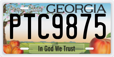 GA license plate PTC9875